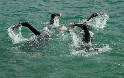 7. Freiwasserschwimmen, Berlin-Brandenburg 2026 – die Termine stehen fest! Jetzt die knappen Plätze sichern.